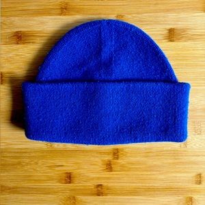Everlane The Good Merino Wool Beanie in Cobalt